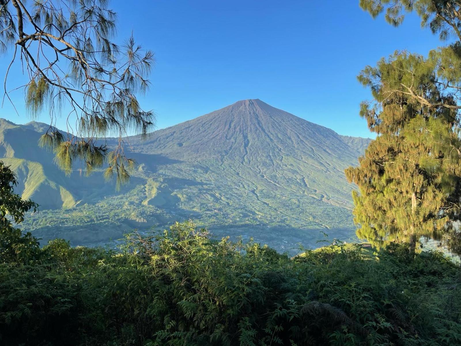 Avocado Homestay Tetebatu Exterior foto