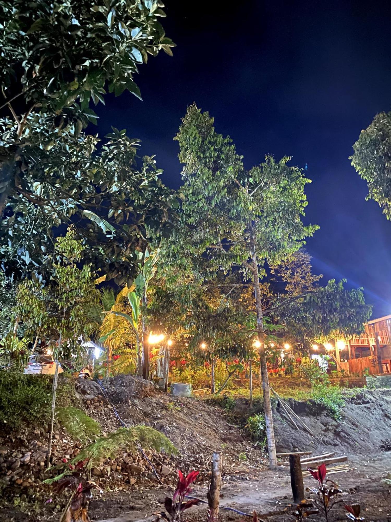 Avocado Homestay Tetebatu Exterior foto